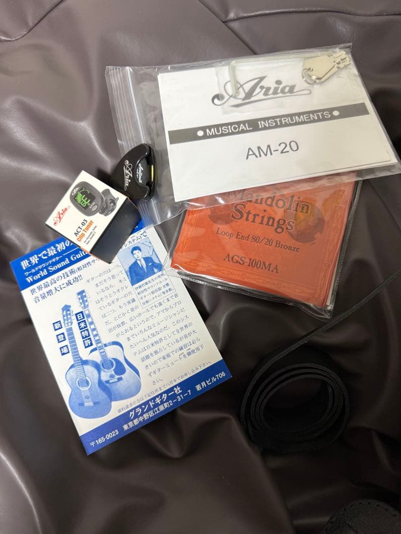 Aria AM-20 マンドリン 本体　ケース付き