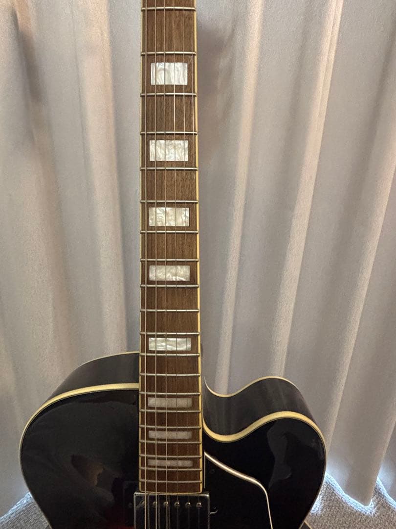 最終価格/ケース,保証書付き Ibanez フルアコースティックギター
