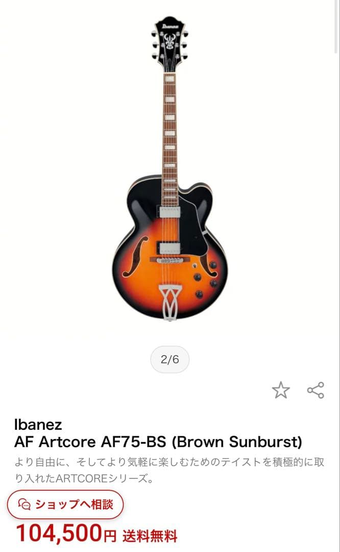 最終価格/ケース,保証書付き Ibanez フルアコースティックギター