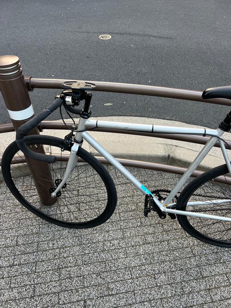 FUJI FEATHER シルバー