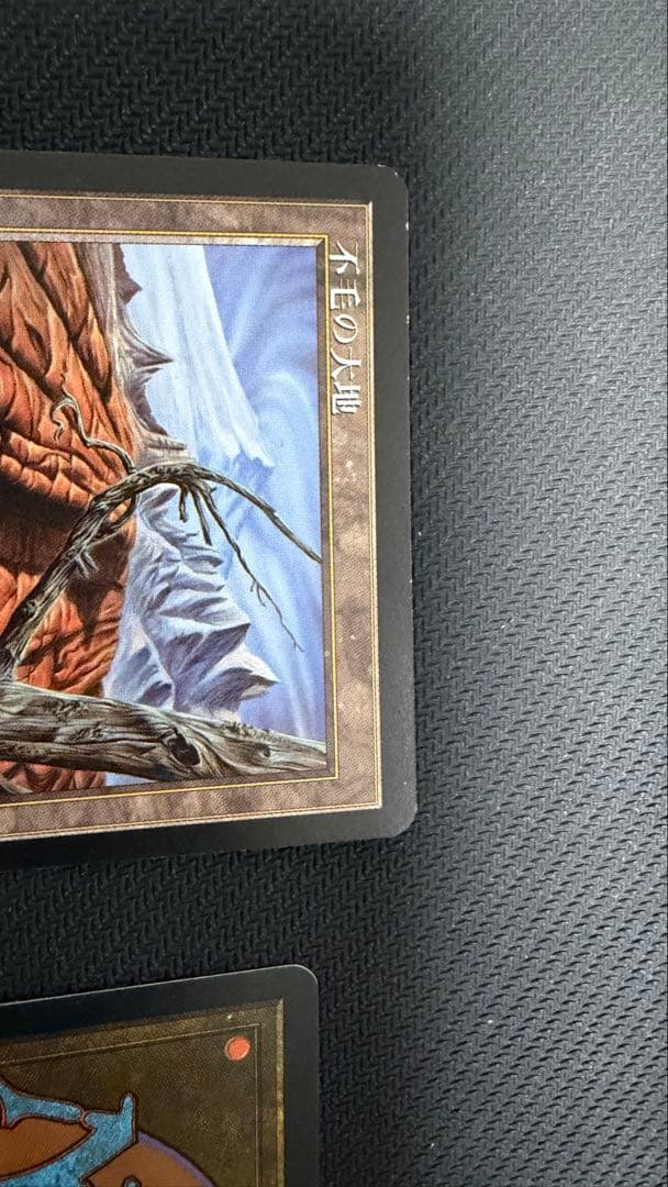 MTG 初版 テンペスト 不毛の大地 日本語 4枚セット