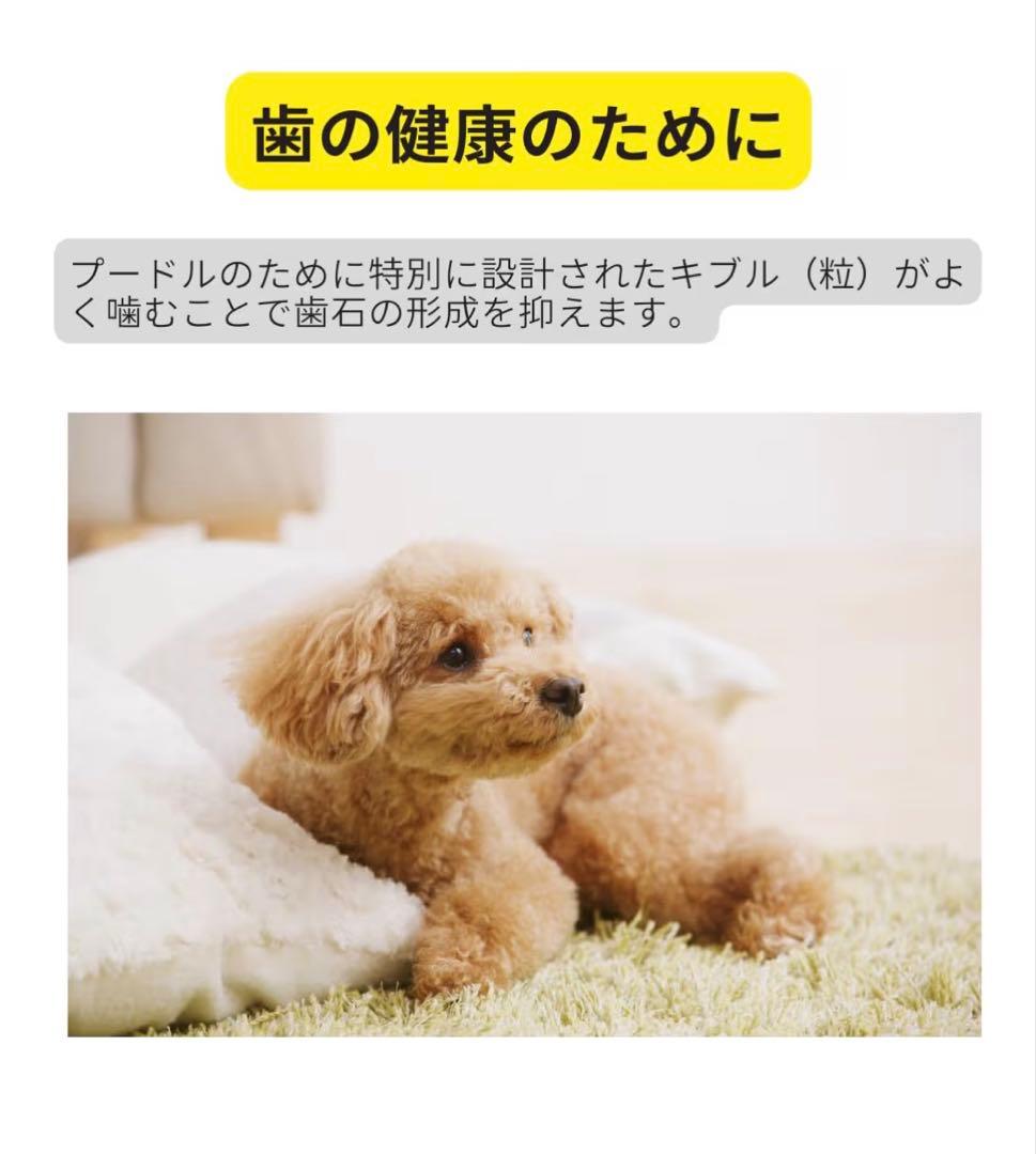  CANIN プードル 7.5kg x1
