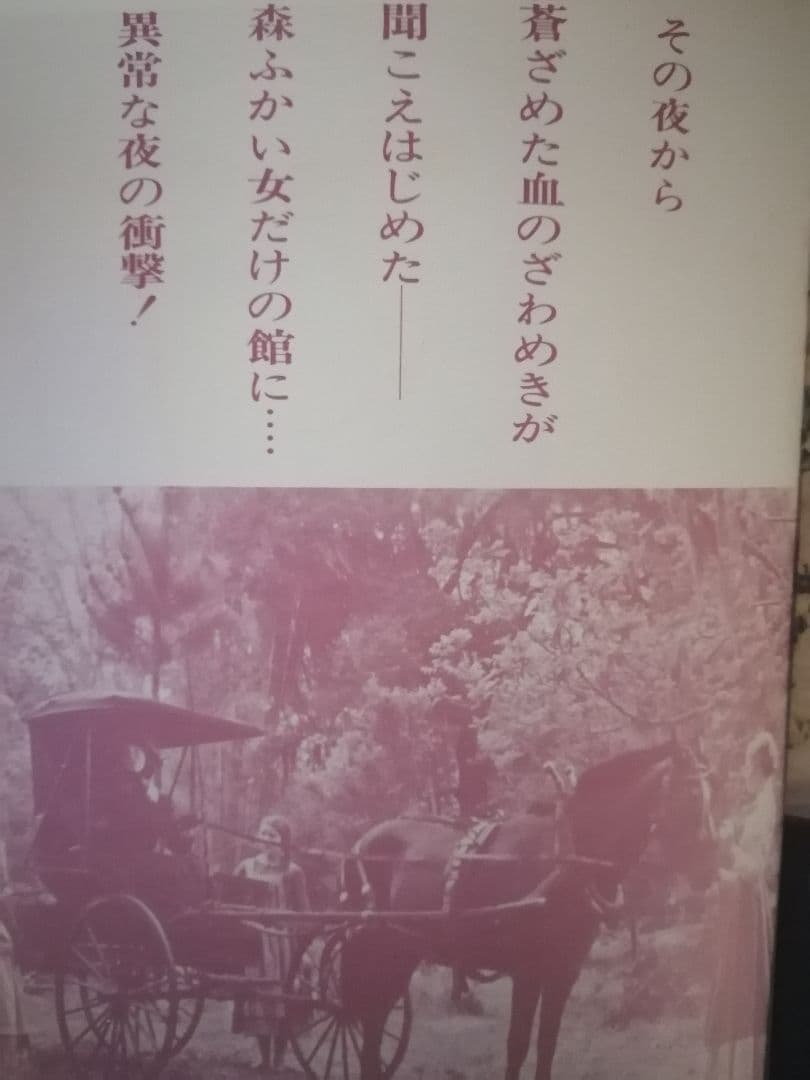 クリント・イーストウッド　白い肌の異常な夜　パンフレット