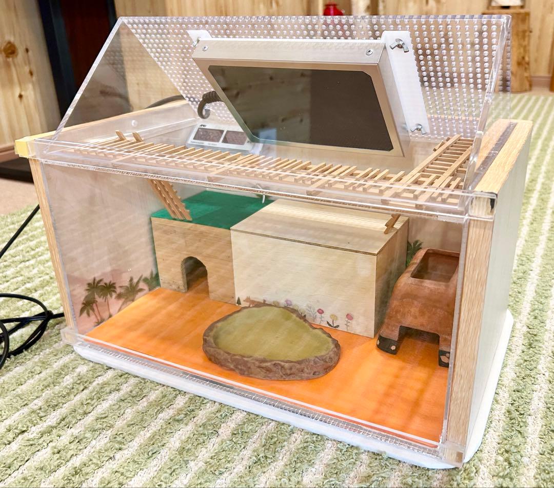 ヒョウモントカゲモドキ　レオパ　爬虫類　飼育ゲージ　一式