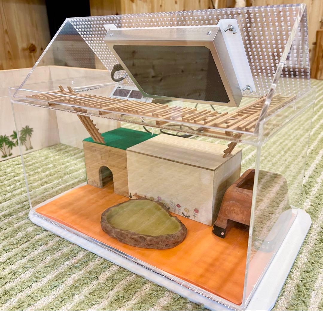 ヒョウモントカゲモドキ　レオパ　爬虫類　飼育ゲージ　一式
