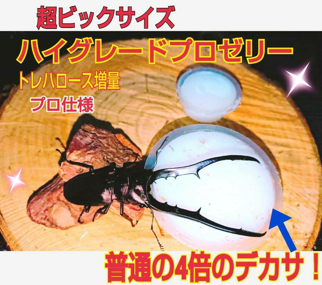 超ビッグサイズ！ハイグレードプロゼリー200個　普通の4倍以上のデカサ！プロ仕様