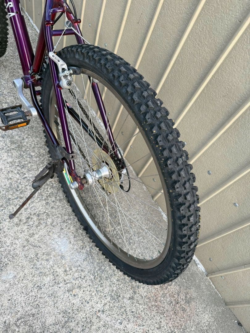 自転車本体 Raleigh USA