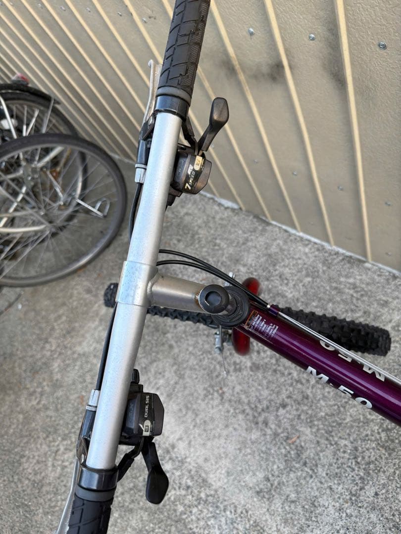 自転車本体 Raleigh USA