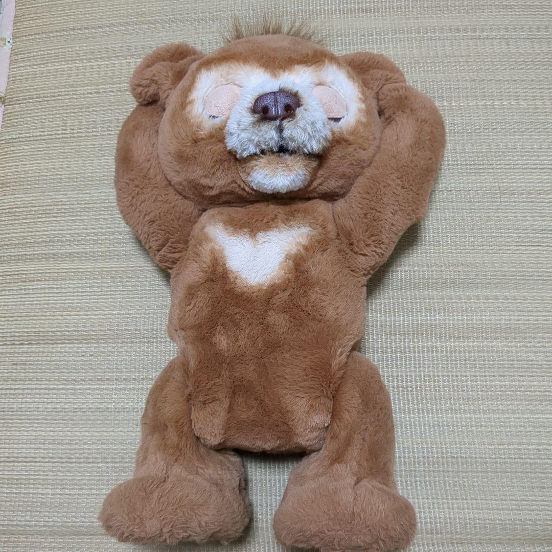 ファーリアル　こぐまのカビー