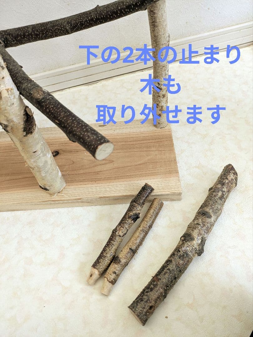 ♡nazu♡　バードアスレチック