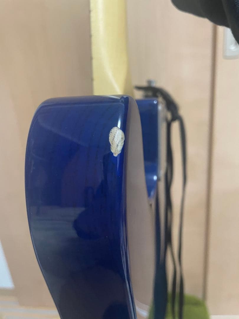 FGN テレキャスター NTE10MAH SBB Neo Classic