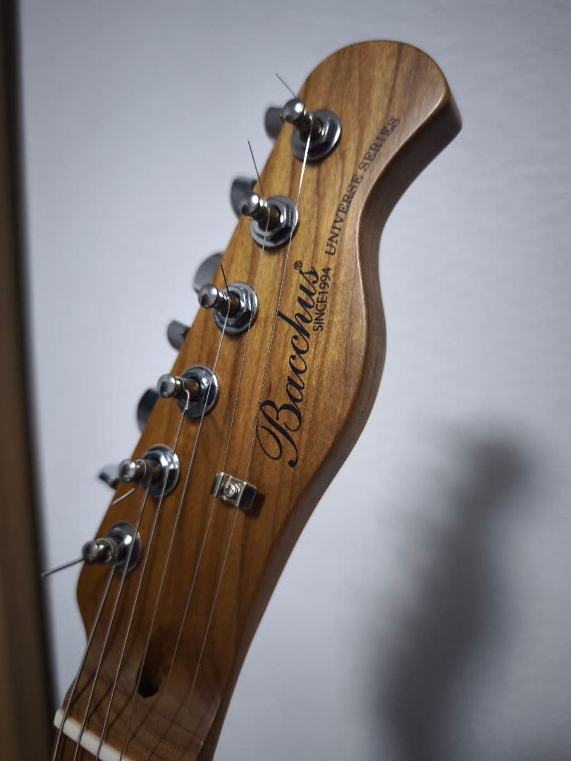 12月5日迄　Bacchus BTE-2-RSM/M BLACK