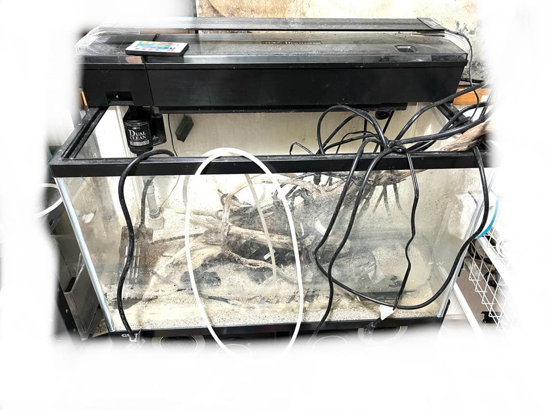 水槽 格安 ※引取限定※ 他掃除用具、濾過器写真同等一機