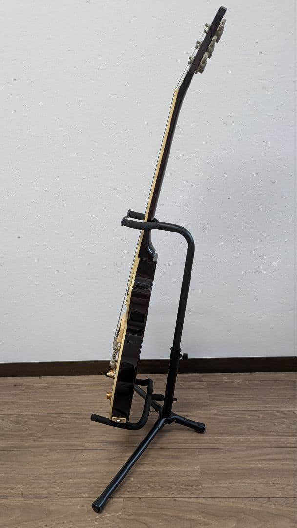 Y*G様 【即発送】Epiphone Les Paul STANDARD PRO