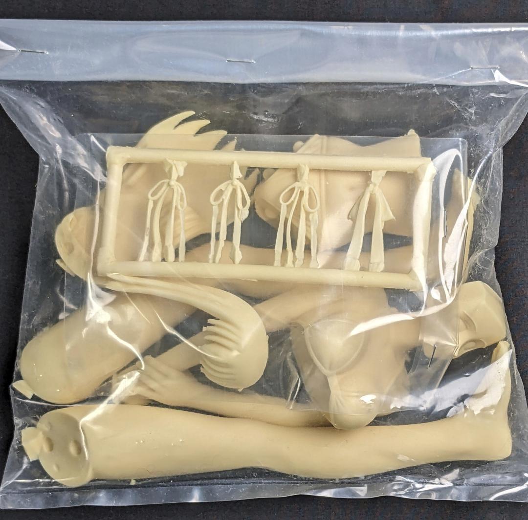 WF2000 瀬能明日香 G-taste 1/6 ガレージキット 八神ひろき