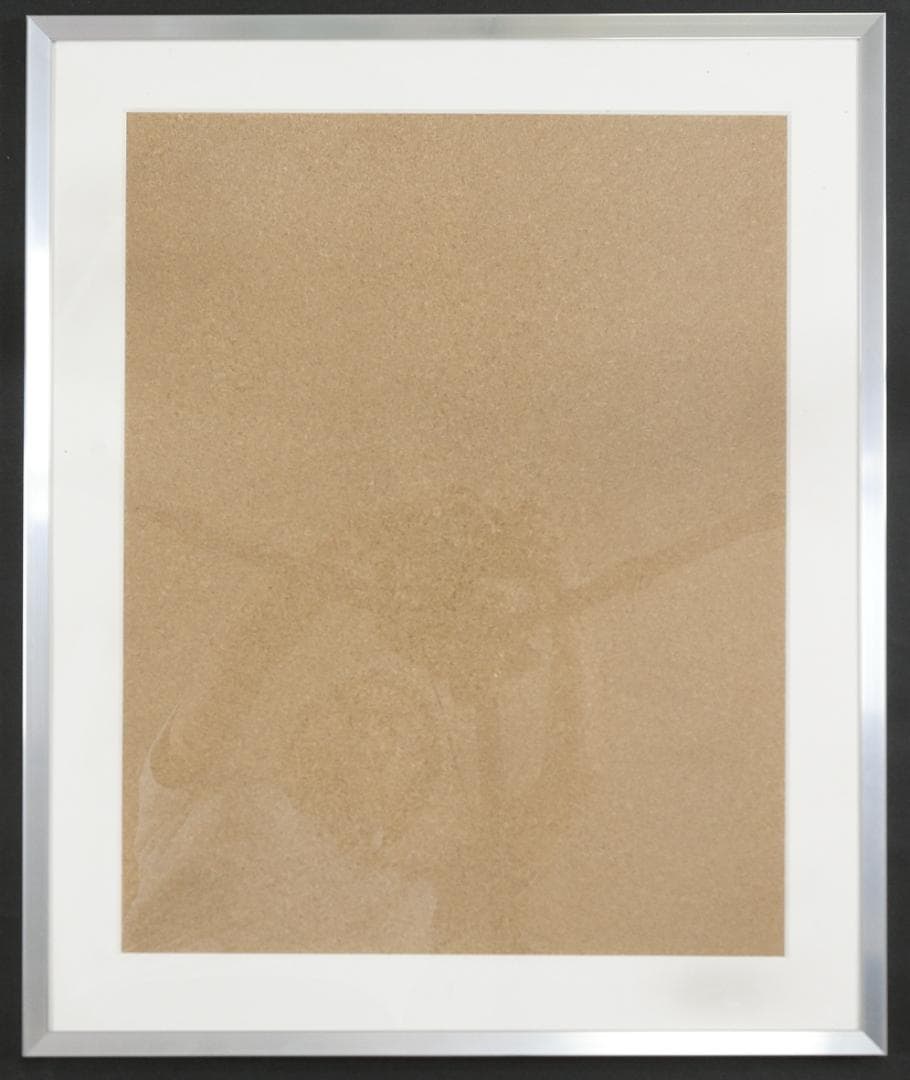 姫乃樹リカ　写真　全紙　約457ｘ560mm　2枚　全紙用額縁1個付