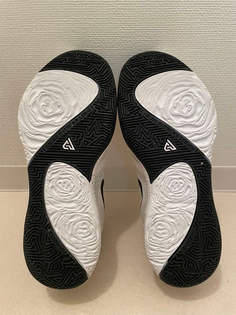 シューズ(男性用) NIKE zoom freak1