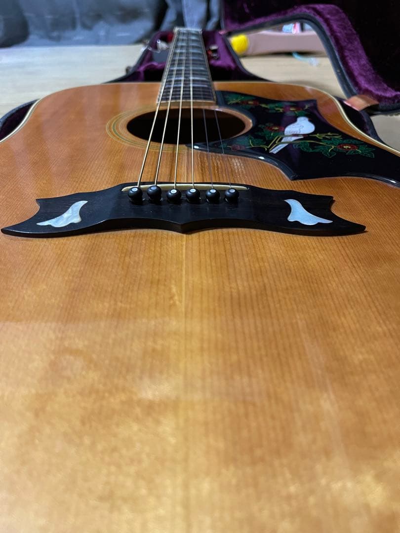 Gibson Dove 1973〜1975 年製　ビンテージ