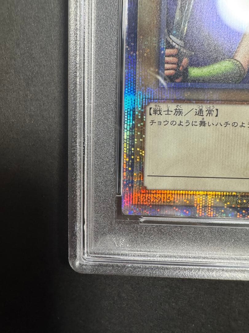 【PSA10】 女剣士カナン25thシークレッ ト クオシク2枚おまけ付き