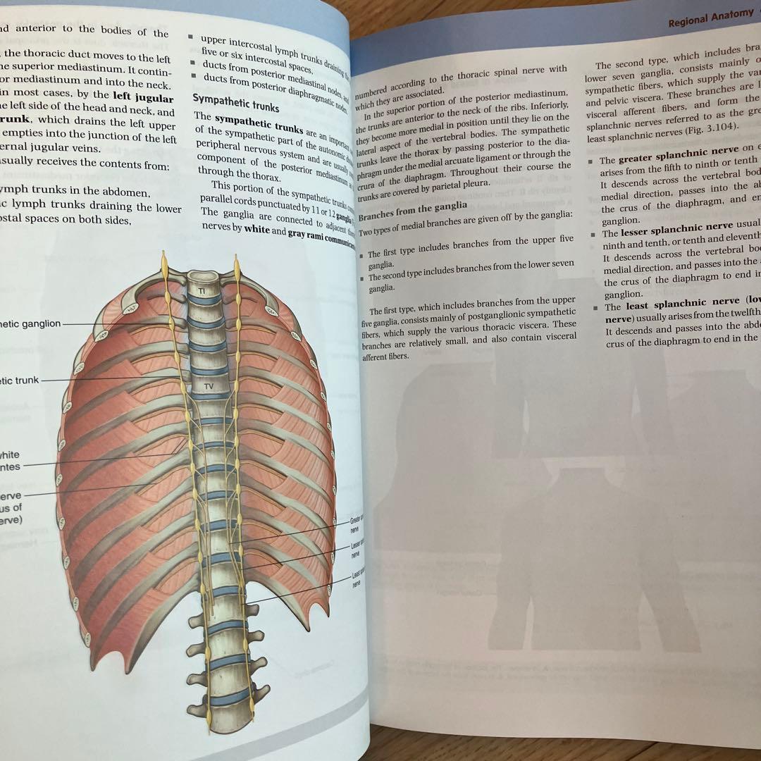 GRAY'S ANATOMY FOR STUDENTS 第四版