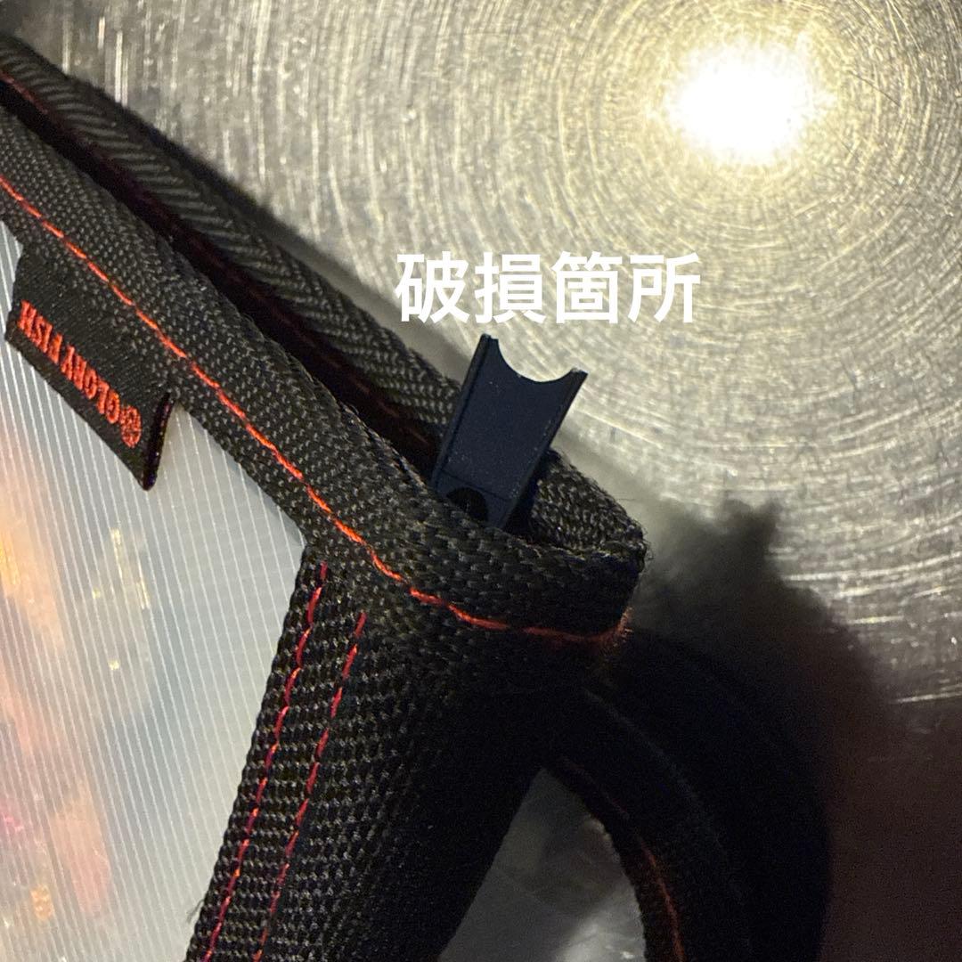 エギ　セット