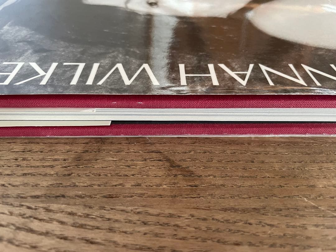アート・デザイン・音楽 HANNAH WILKE A RETROSPECTIVE