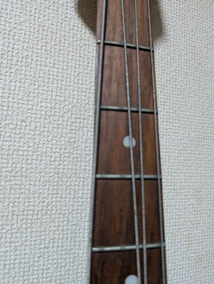 Ibanez レイクランド風SH配列ベース！スティングレイ好きにも◎