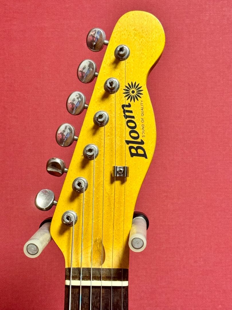 Bloom/TelecasterType トップローディング仕様