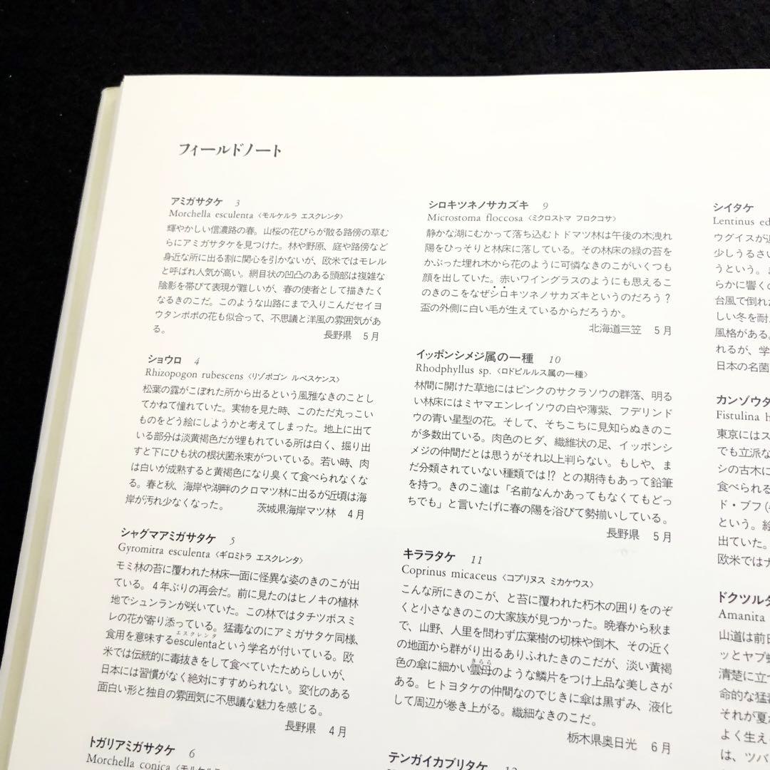 小林路子 画集「きのこ」1993年 初版 山と溪谷社