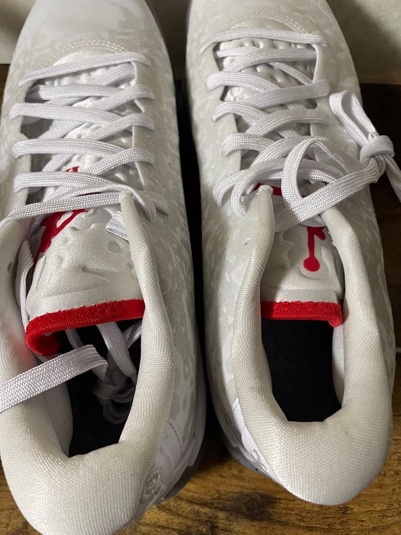 【新品・未使用】NIKE JORDAN ZION 3 PF バッシュ 迷彩　白