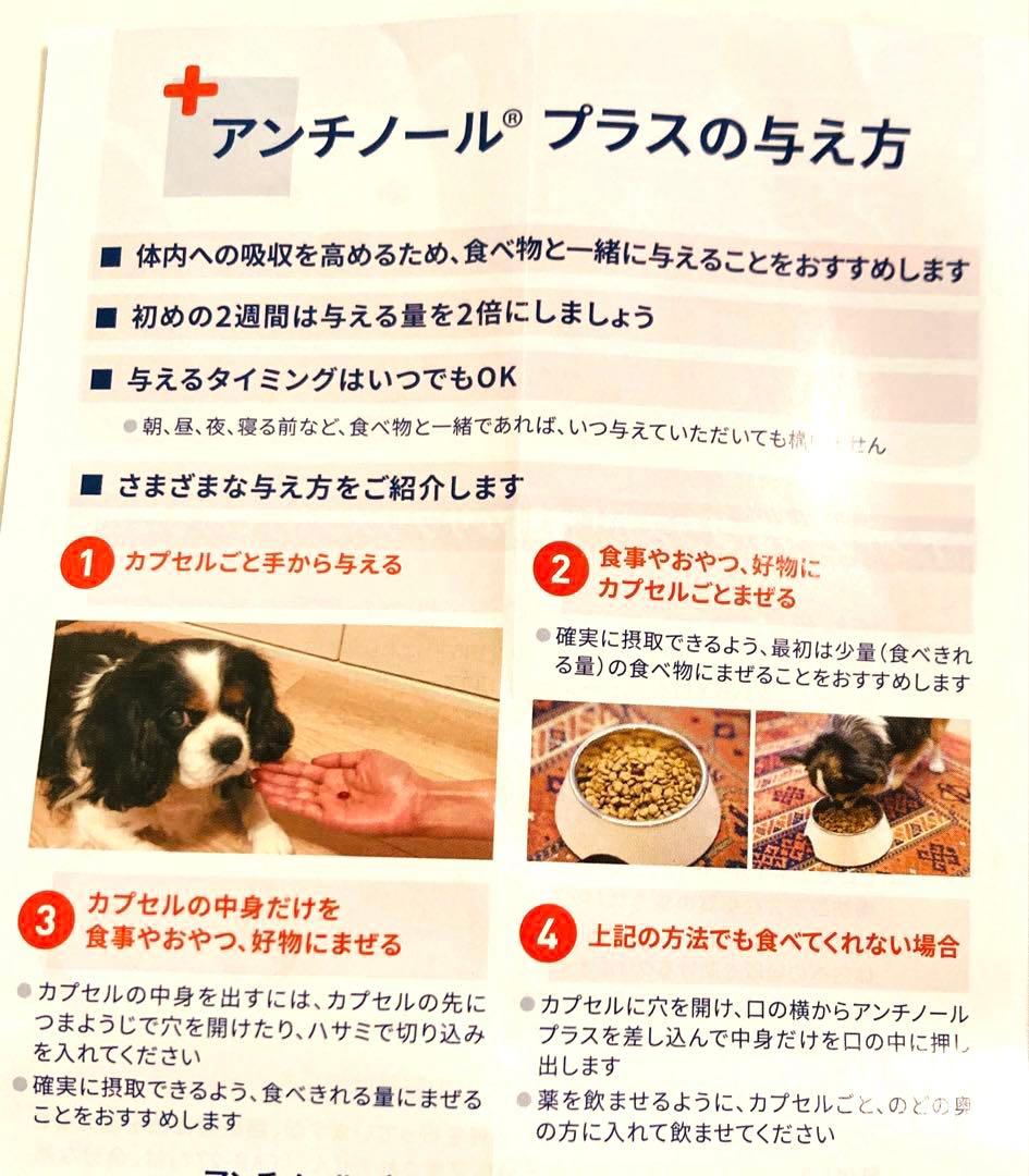 Vetz Petz アシチノール プラス90粒