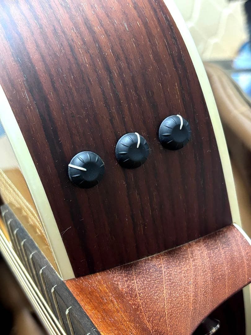 Taylor アコースティックギター 214e