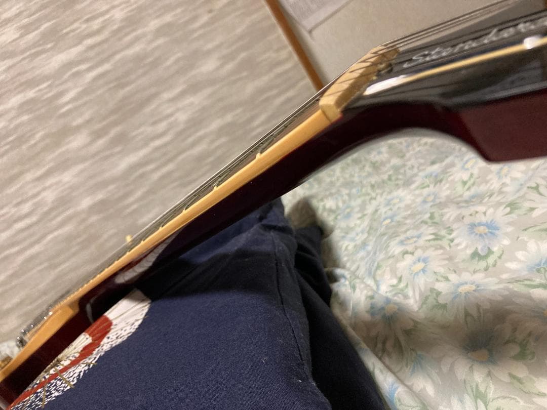 Gibson Les Paul ワインレッド ハードケース付き
