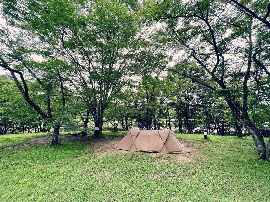 ZANZ ARTS ロガ4