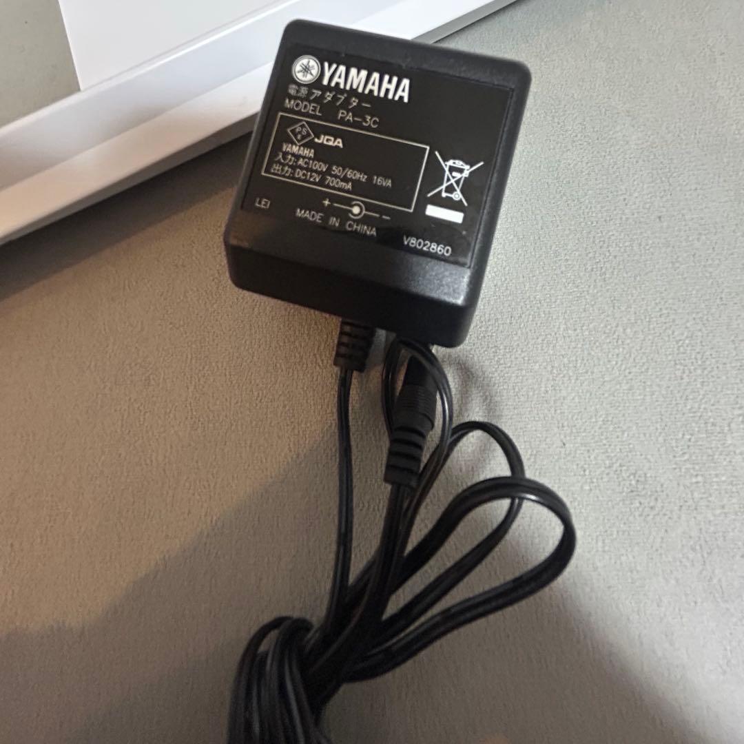 【ワカコ】YAMAHA Piaggero NP-12