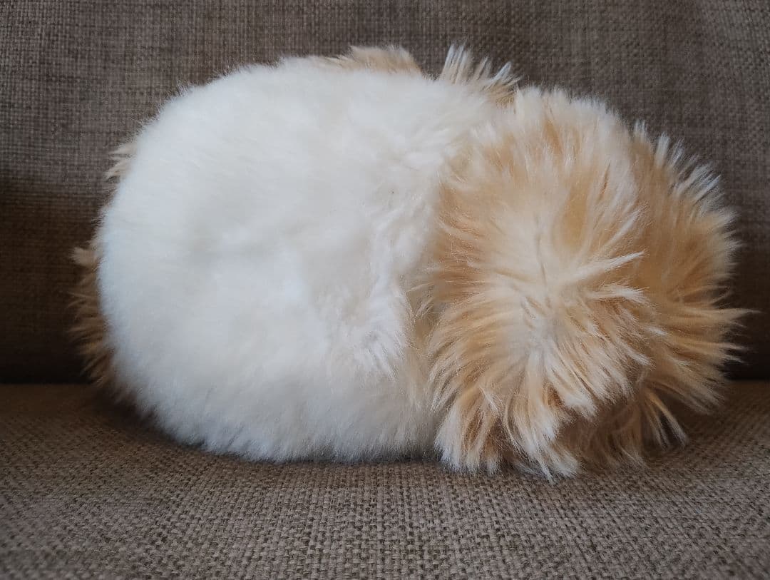 moflin モフリン カシオ　ゴールド