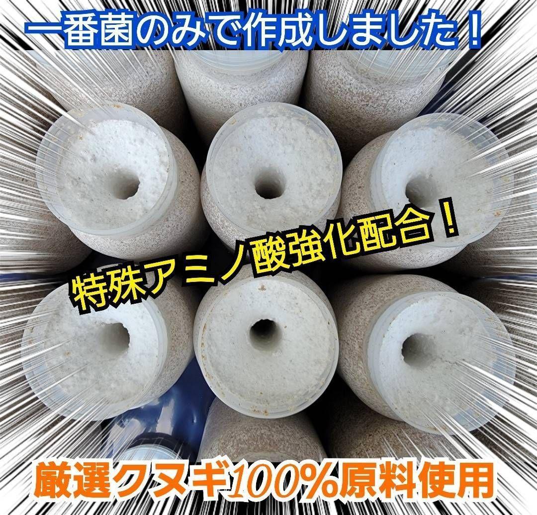 極上！カワラタケ菌糸瓶【8本】トレハロース・ローヤルゼリー配合！クワガタ全般OK
