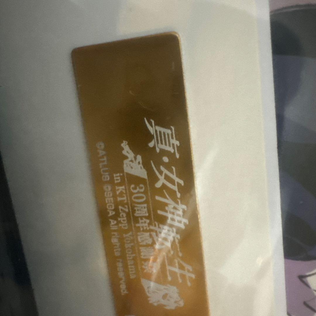 真・女神転生　30周年記念感謝祭　複製原画　イラストボード　【未使用】ATLUS