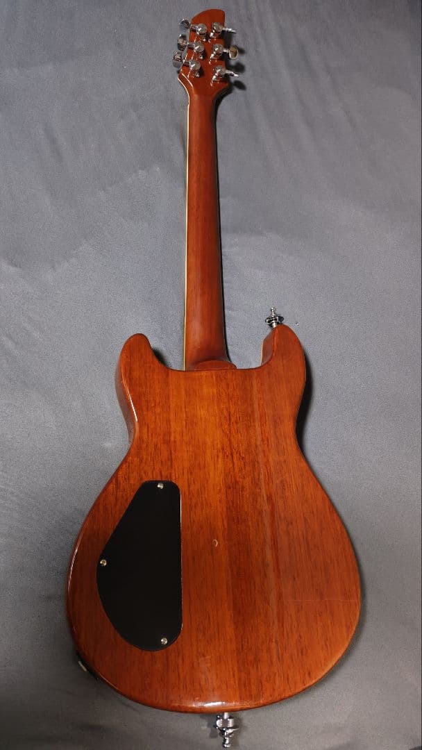 FERNANDES APG-55AMB 2000年代初頭