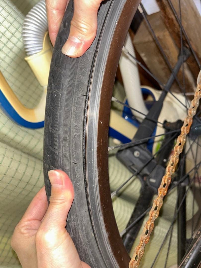 自転車本体 LOUIS GARNEAU LGS-CS5