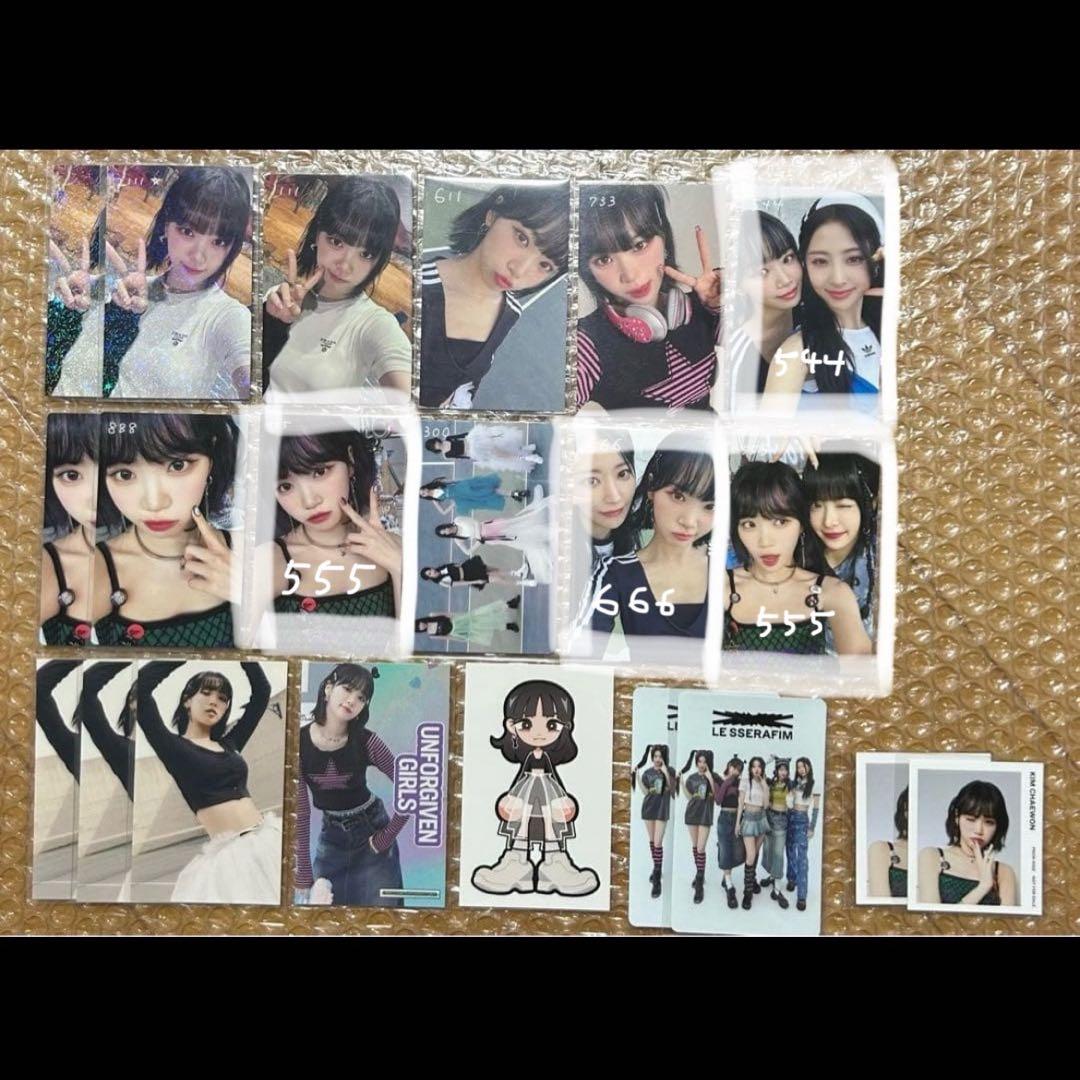 kapibara06