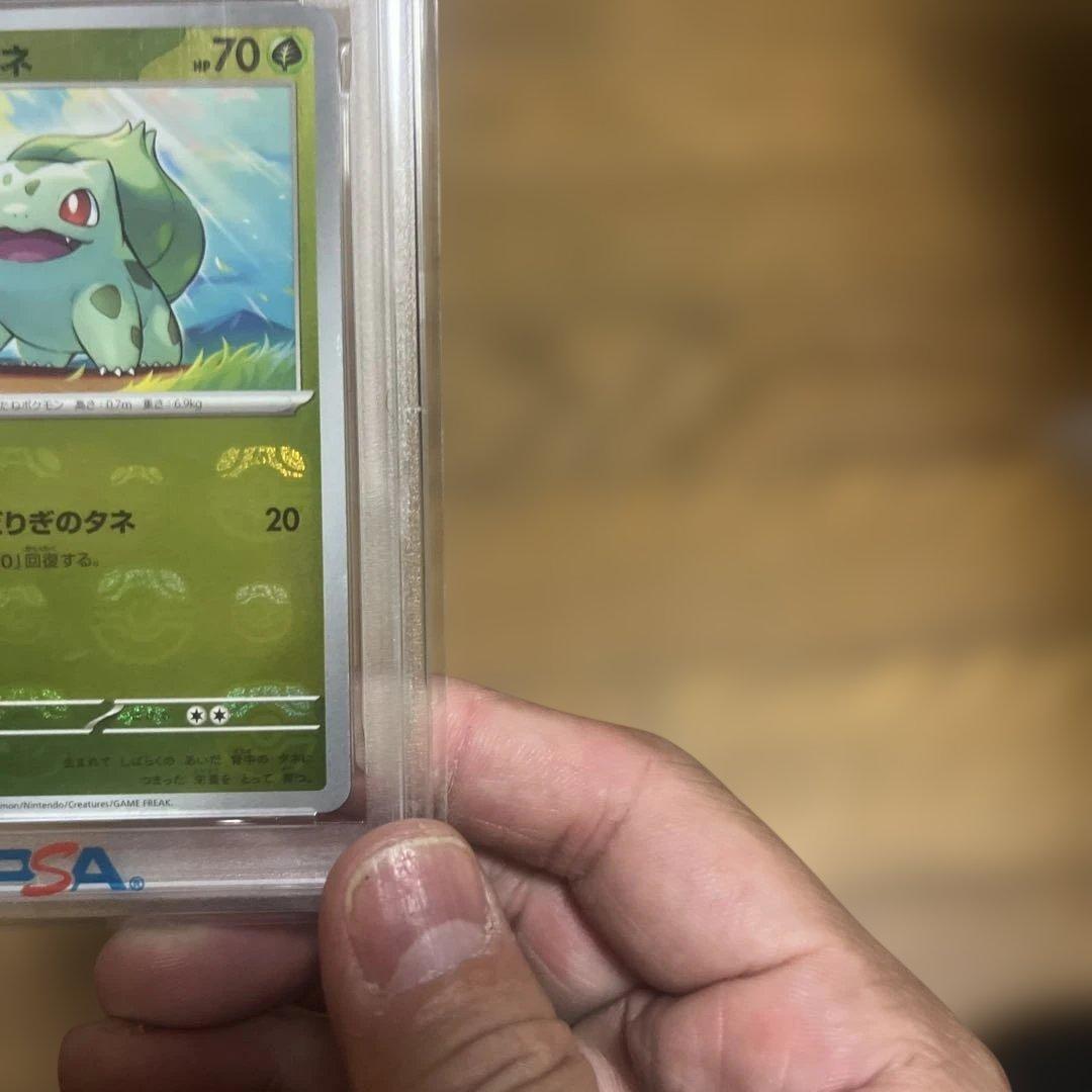 フシギダネ　マスボ　PSA10