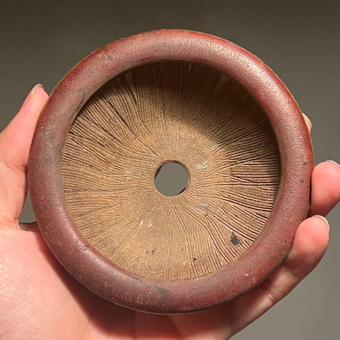 826.虹泉 辰砂釉反緣丸 盆栽鉢 植木鉢 10.3*3.6cm