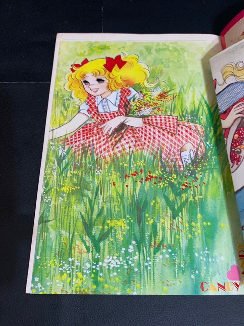 【絶版・完品】キャンディキャンディイラスト集　いがらしゆみこ　水木杏子