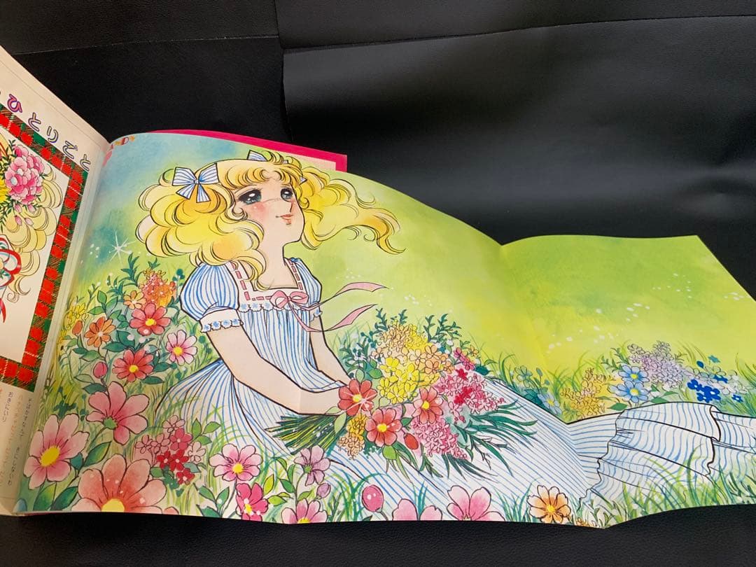 【絶版・完品】キャンディキャンディイラスト集　いがらしゆみこ　水木杏子