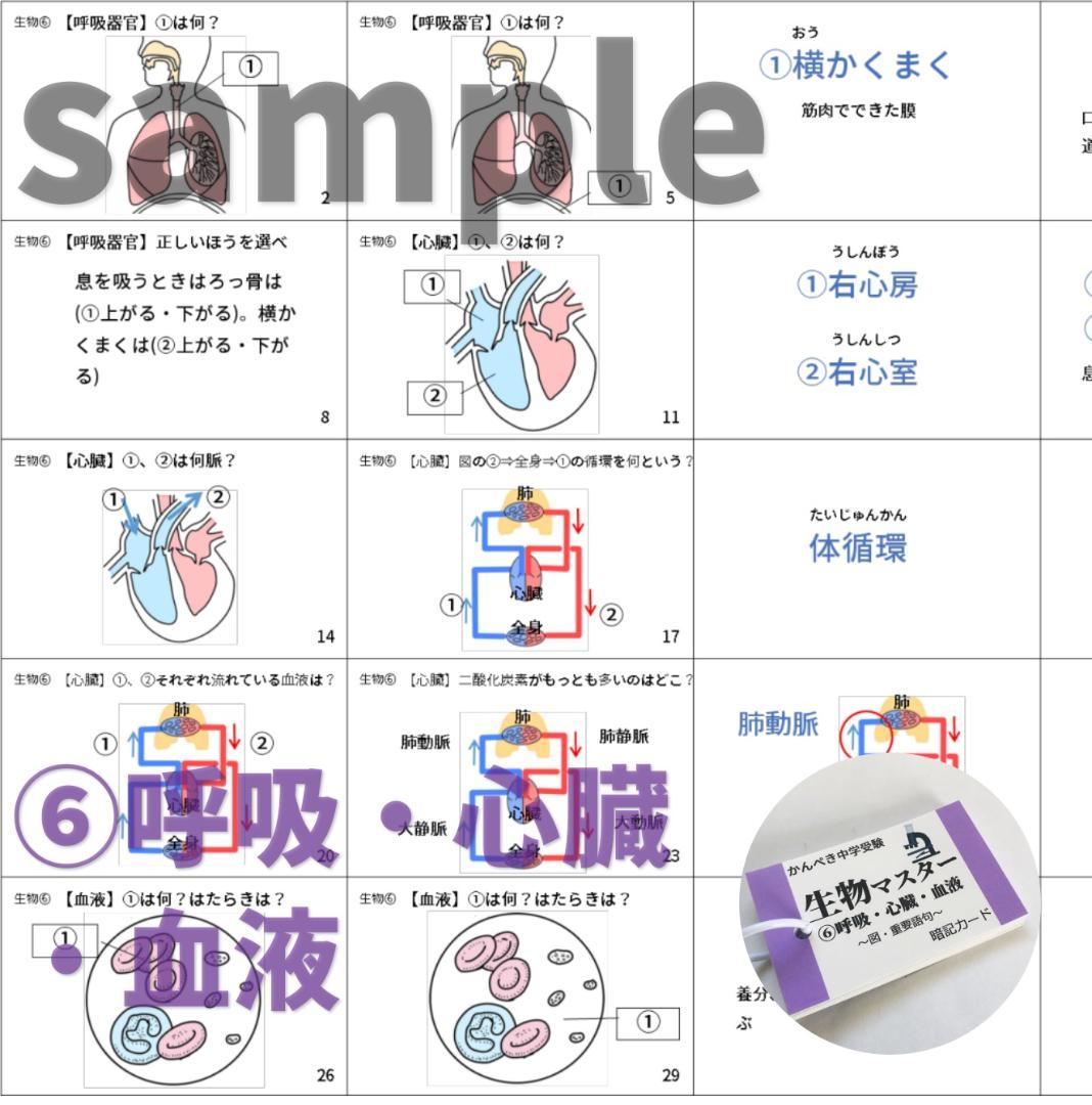 【074】生物・化学・地学・物理マスターセット　中学入試理科　テスト対策