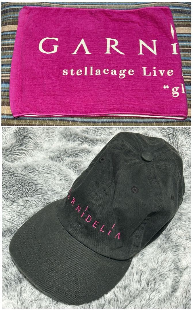 BIG ブロマイド ミニカード GARNiDELiA 美依礼芽 MARiA 他