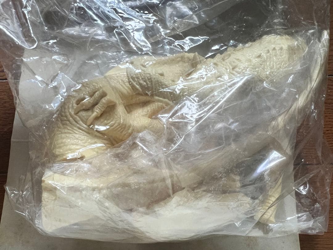 海洋堂　ヴェロキラプトル　レジンキット　恐竜　動物　フィギュア