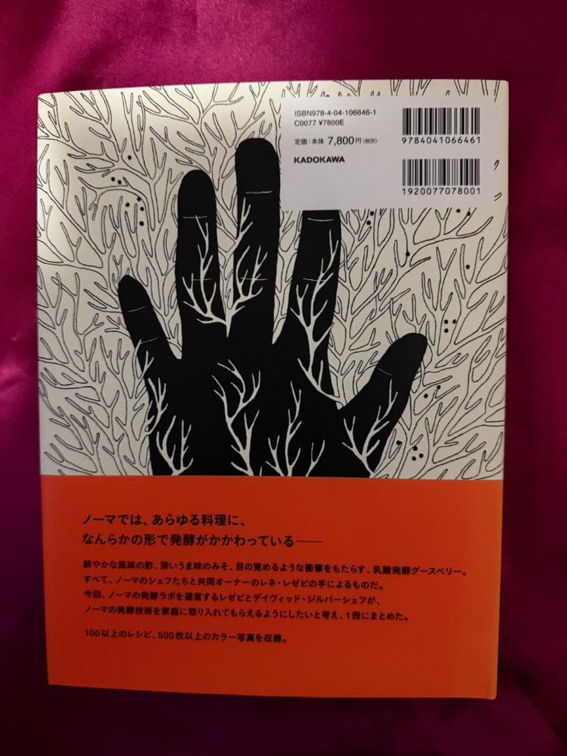 ノーマの発酵ガイド