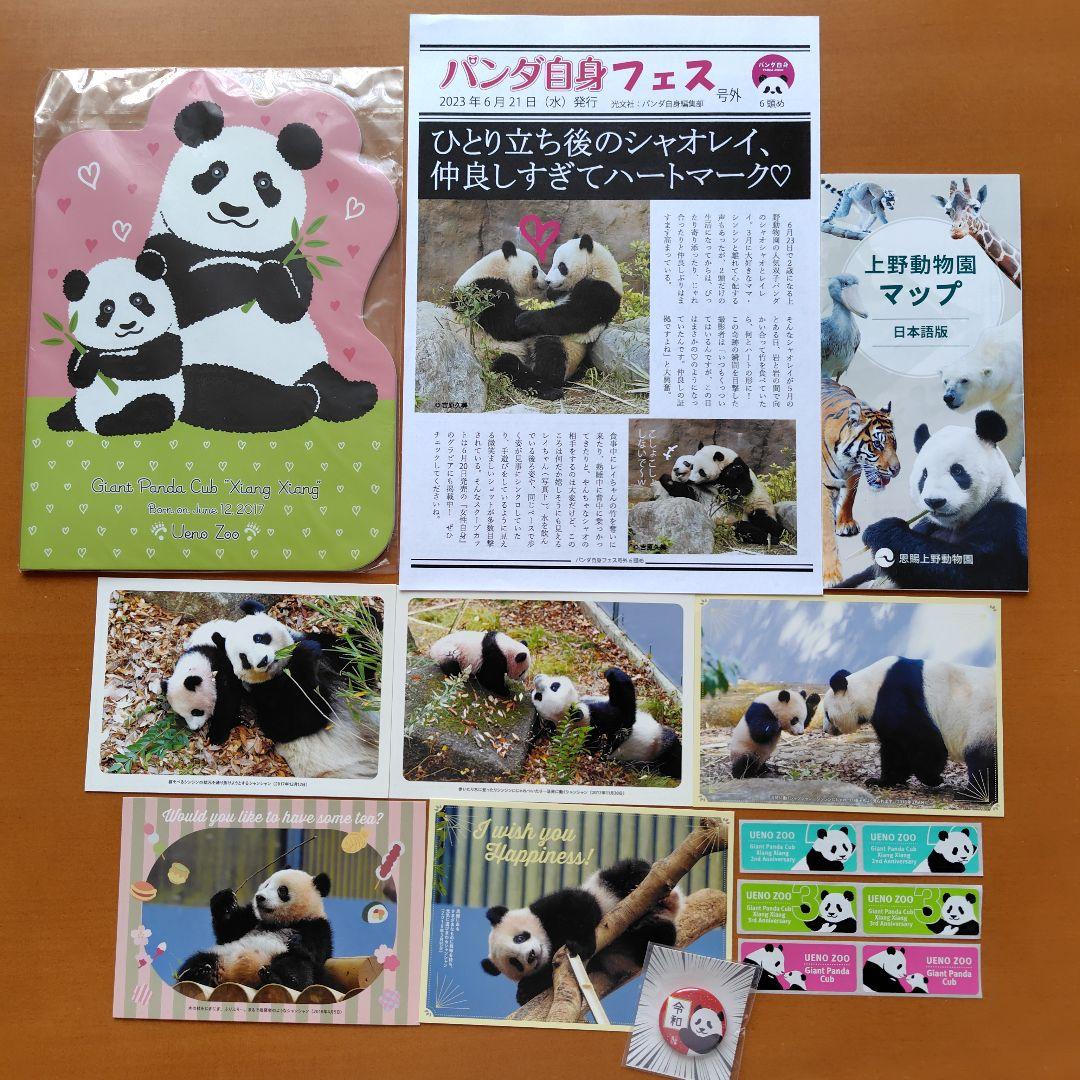 上野動物園 抱っこ シャンシャン パンダ ぬいぐるみ 32点セット